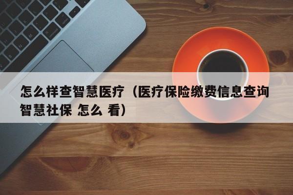 怎么样查智慧医疗（医疗保险缴费信息查询 智慧社保 怎么 看）