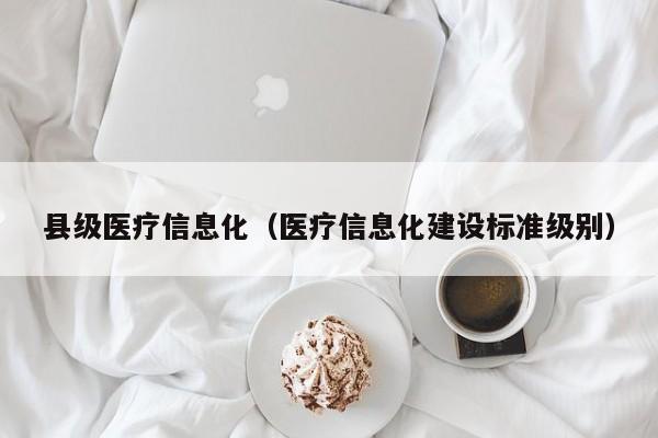 县级医疗信息化（医疗信息化建设标准级别）
